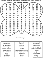 Butterfly Word Search